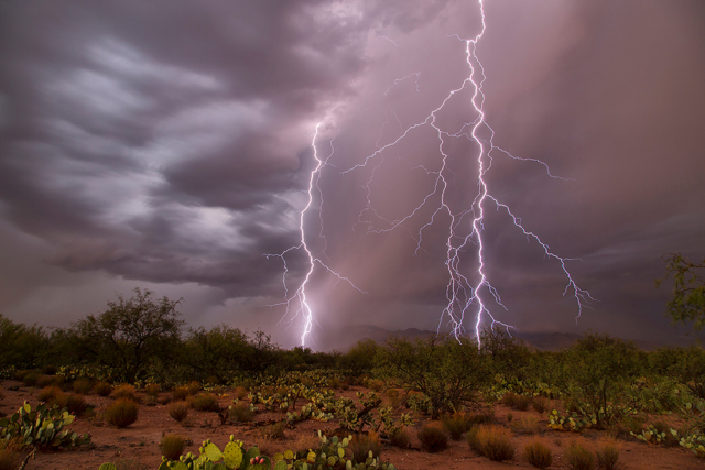 multiple lighting bolts illuminate a desert landscape